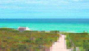 Visit De Hoop Nature Reserve for free from 16 to 24 September