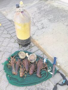 Drugs, abalone, WCRL seized