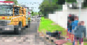 Dog rescued from stormwater pipe