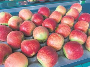 Food Lover’s oorskry teiken van vier miljoen maaltye