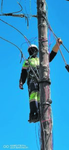 Live wires claim life