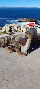 Legendariese man van die see gegroet