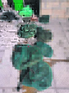 Groot slag met perlemoen geslaan