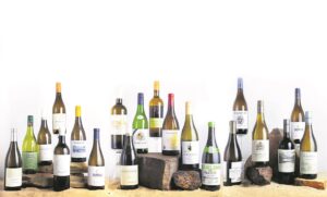 Sauvignon blanc-wyne in die Overberg presteer