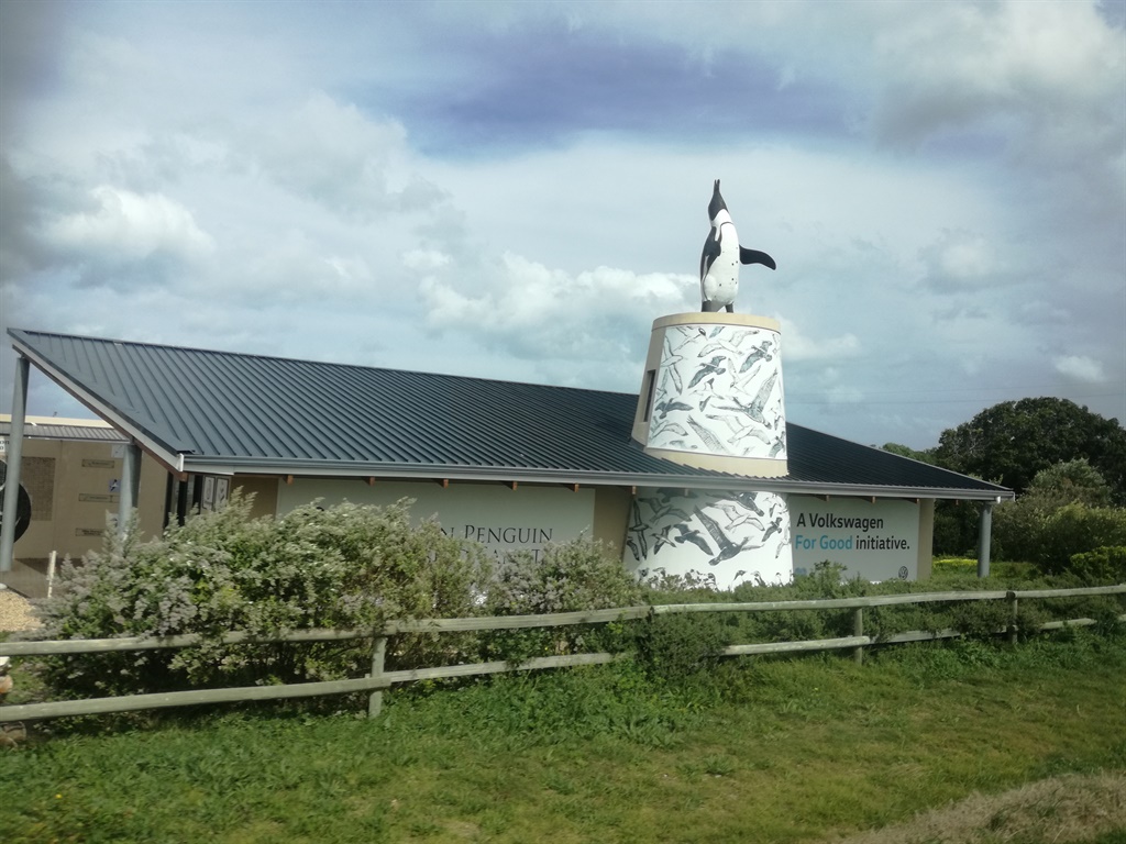 the African Penguin and Seabird Sanctuary