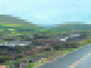 Don’t miss the Onrus Catchment-to-Coast Project Talk