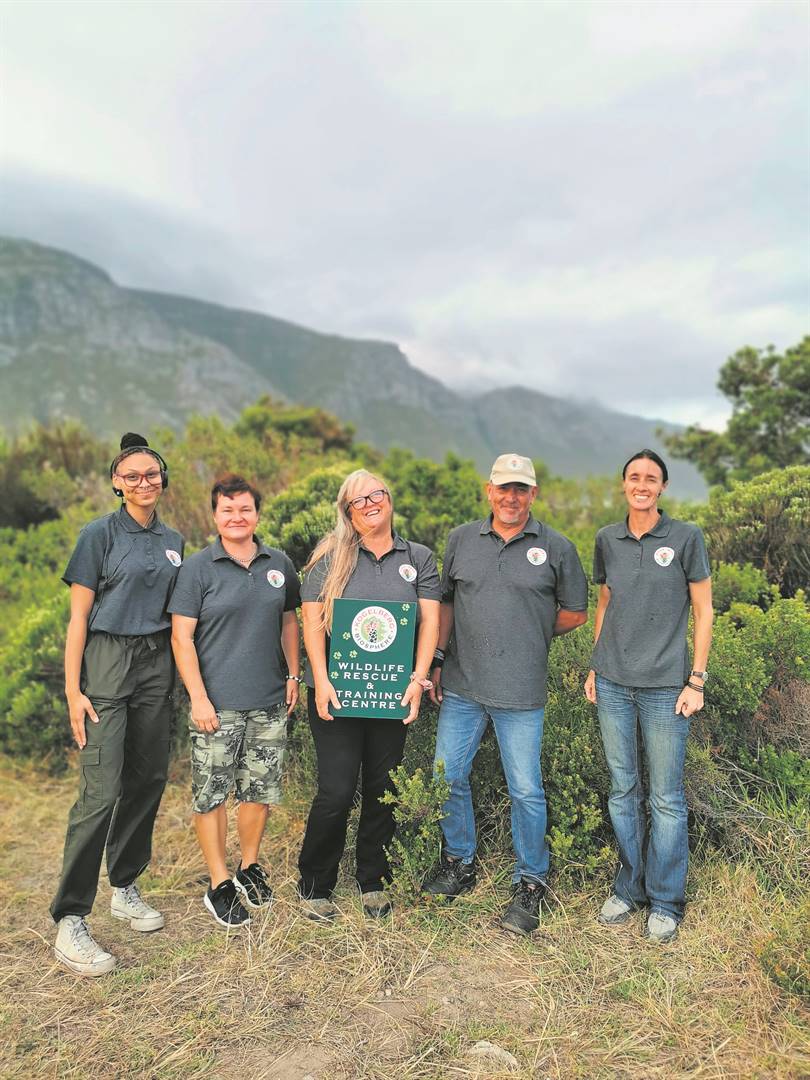 Kogelberg Biosphere rehabilitation centre is the first of its kind in the province
