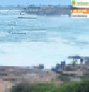 Deur golwe weggesleur