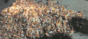 Beslag gelê op R800 000 se kreef