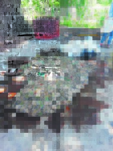 Motoris met perlemoen betrap