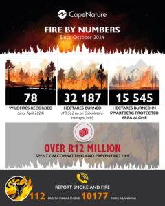 Wildfires in the Western Cape scorch over 32 000 ha since Oct