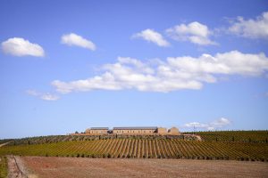 Overberg wines doing well winning more and more awards