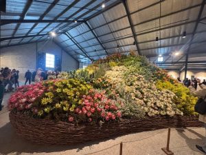 Stanford in Bloom: Flowers, plants, music and more