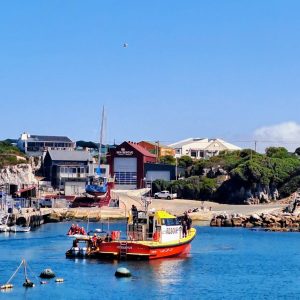 Samaritans save lives in the Old Harbour in Hermanus