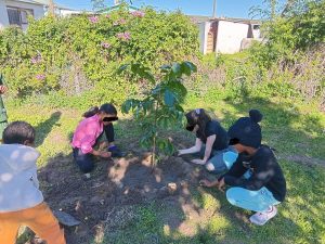 Badisa Stanford op soek na skenkings vir vol vakansieprogram