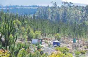 Taakspan aangestel om Knoflokskraal buite Grabouw te ondersoek
