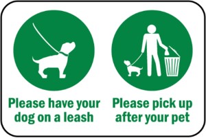 Dog owners in the Overberg must keep their dogs on a leash