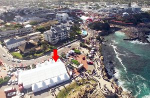Hermanus Whale festival to go ahead as planned, despite unhappiness