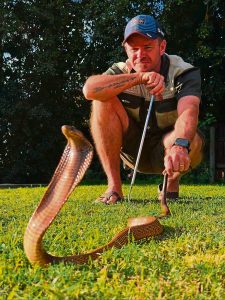 Adders nou stil in die Overberg, maar kobras loop rond