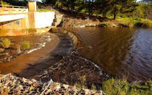 Laer reënval in die Overberg bring kommer