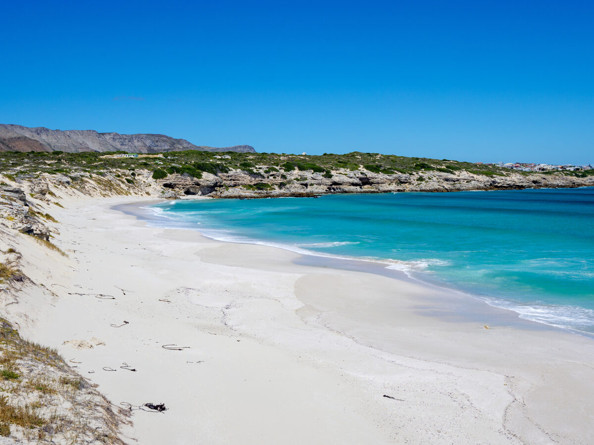 Walker Bay Reserve received award from the Wildlife and Environment Society