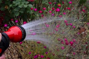 Overstrand maan inwoners om water spaarsamig te gebruik te midde van dalende dam en reservoirvlakke