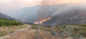 Raka winery outside Stanford emerged from the recent fires with minimal damage