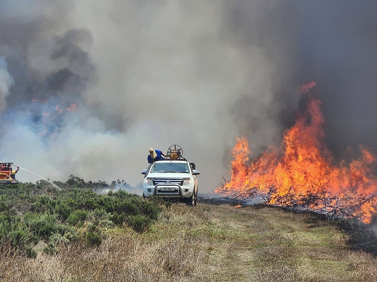 Please join our support project and help the firefighters