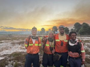 Brandstigting dalk die oorsaak van verwoesting in die Overberg