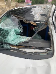 Wilde perde en ander diere skep probleme op R43 en N2