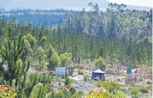Minister intervenes in contested Knoflokskraal settlement as tensions mount