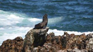 Overberg’s tourism strategy undergone a fundamental shift in recent years