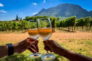 What to do over the weekend in the Overberg