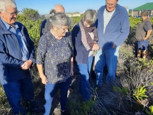 Deurbraak vir Struisbaai: Wandelpad gaan menige lok