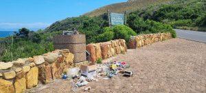 Bins, baboons and broken promises on Clarence Drive