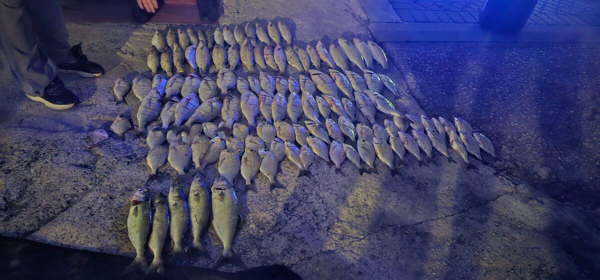 R66k worth of Tik seized and 11 arrests made during integrated Overstrand operation