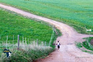 The Brew Run and the ‘Voet van Afrika’ are coming to the Overberg