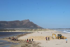 Expert explains why Bot River estuary mouth was opened
