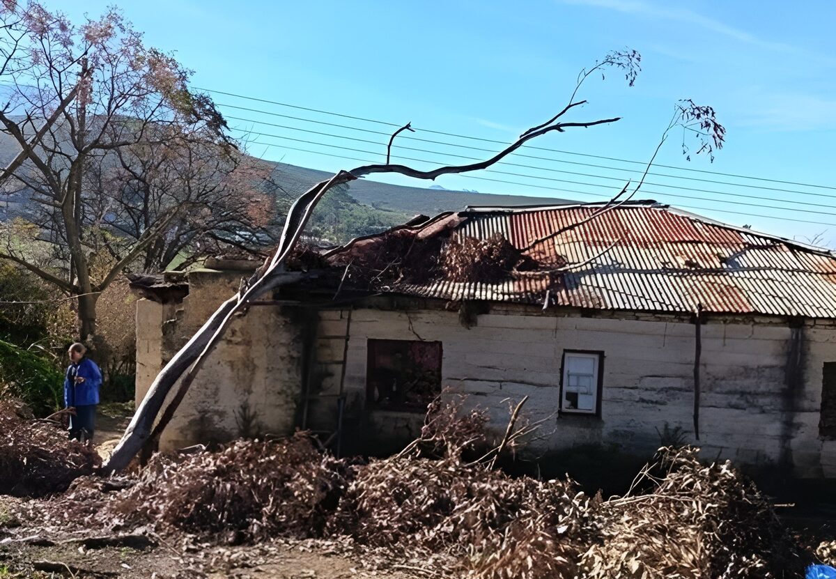 A recent storm has forced 80-year-old Shellie Salome Wentzel and her son out of their home in Bereaville.
