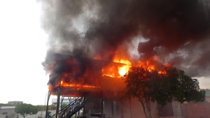 Homeowner suffers burns while attempting to rescue his dogs from a house ablaze