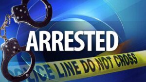 Suspects arrested after stealing vehicle