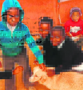 Linda is ’n engel vir honde in Hofmeyr