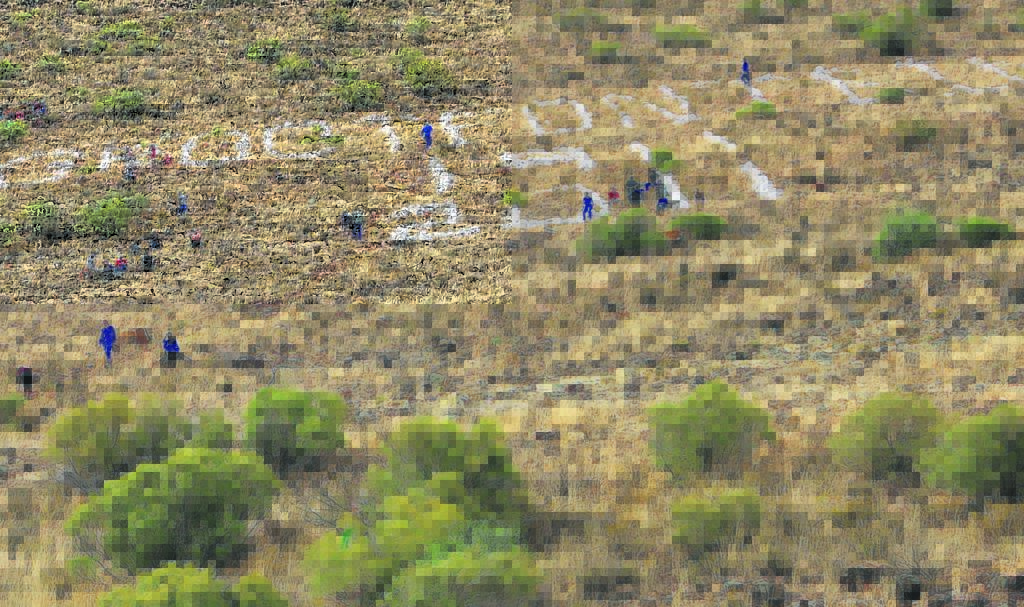 Koppiekalk-tradisie leef voort