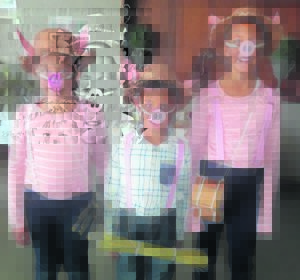 Voorbereidinngskool uitgedos