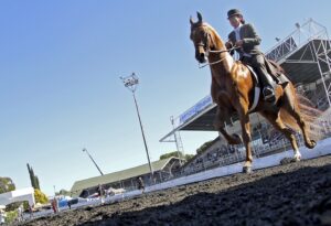 Cradock maak weer reg vir jaarlikse landbouskou die naweek