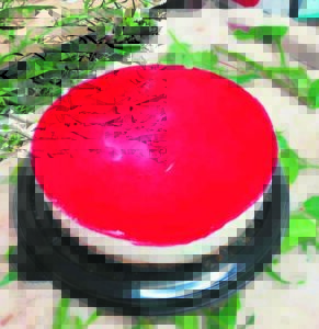 Juanita se spoggerige maaskaastert