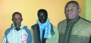 Holistiese benadering tot boerdery