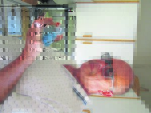 Adendorp-resident provides safe home to injured birds