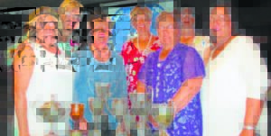 Hofmeyr VLV maak skoonskip by konferensie