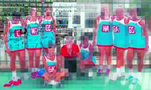 CHS-netbal maak skoonskip teen Hangklip
